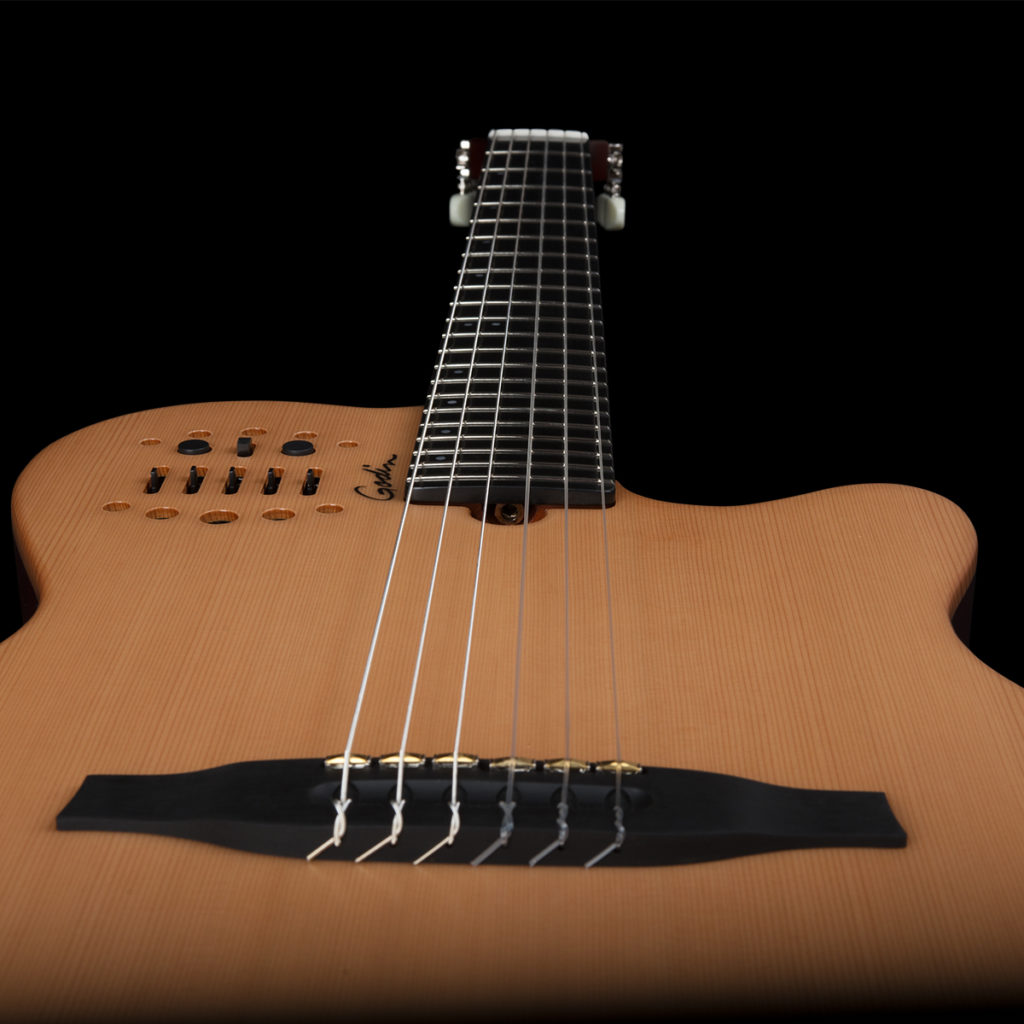 Godin Multiac: historia, modelos y diferencias | microFusa
