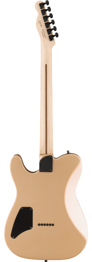FENDER JIM ROOT TELCASTER SHORELINE GOLD