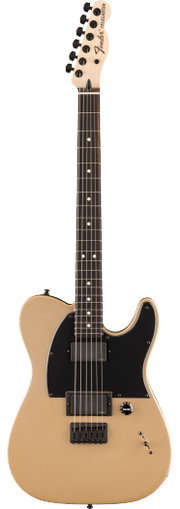 FENDER JIM ROOT TELCASTER SHORELINE GOLD