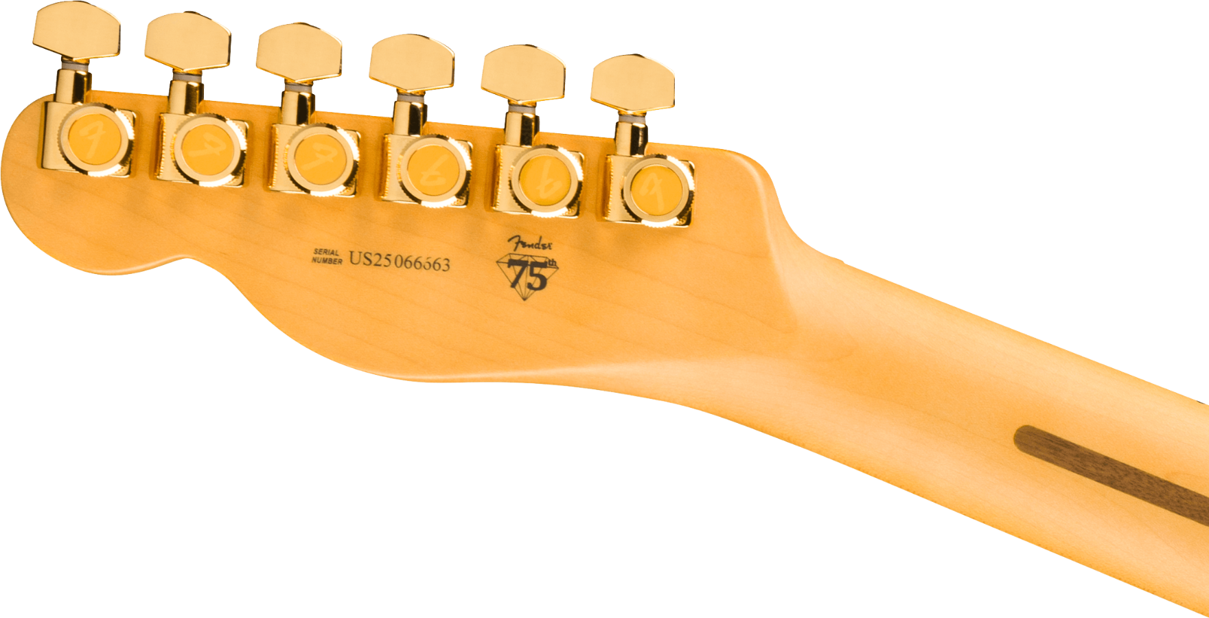FENDER 75TH ANN AMERICAN PROFESSIONAL CUSTOM TELE MN 2TS