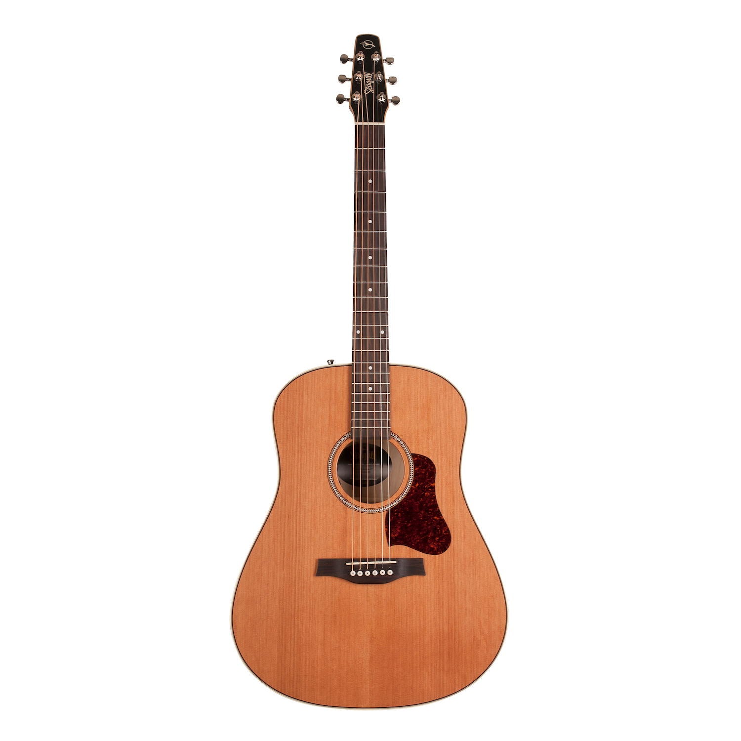 SEAGULL Coastline Momentum A/E HG Guitarra electroacústica