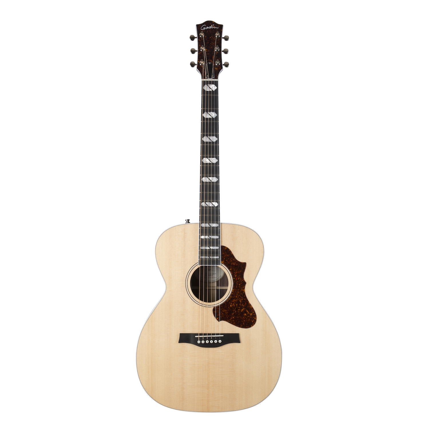GODIN Fairmount CH LTD Rosewood HG EQ with TRIC Guitarra acústica 