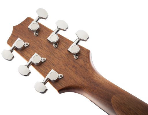 Takamine GN20CE-NS