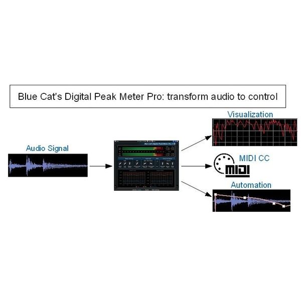 Blue Cat DP Meter Pro