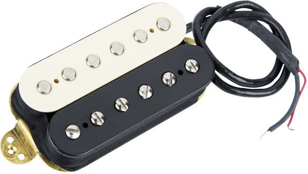 EVH BLANCO Y NEGRO PUENTE