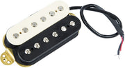 EVH BLANCO Y NEGRO MÁSTIL