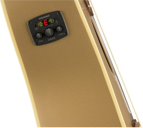 FENDER REDONDO PLAYER BRONZE SATIN