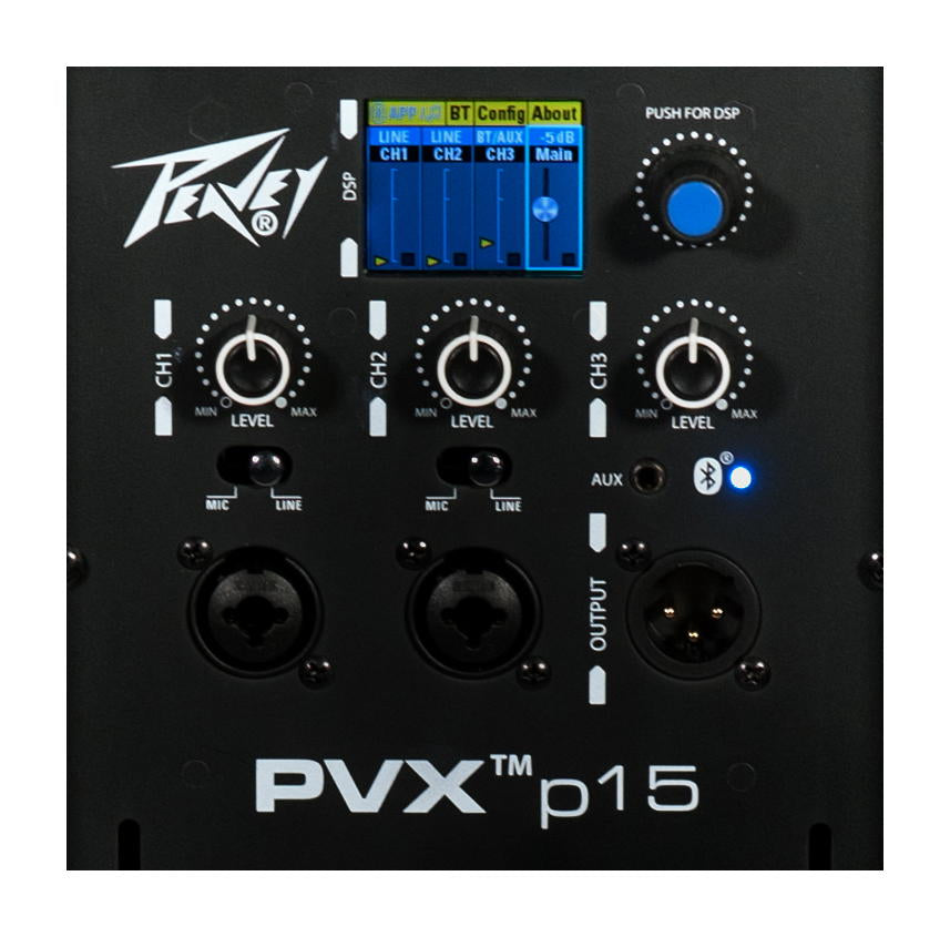PEAVEY PVX P 15