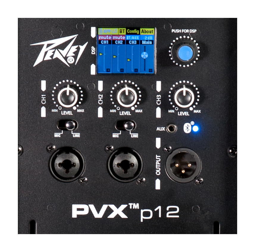 PEAVEY PVX P 12