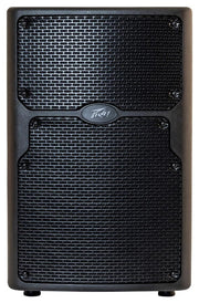 PEAVEY PVX P 10