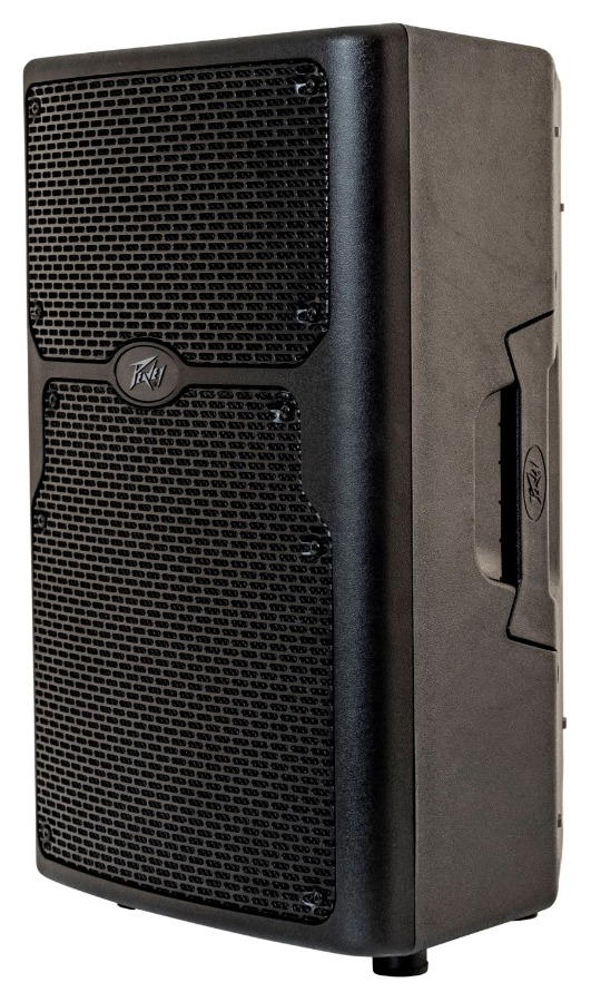 PEAVEY PVX P 10
