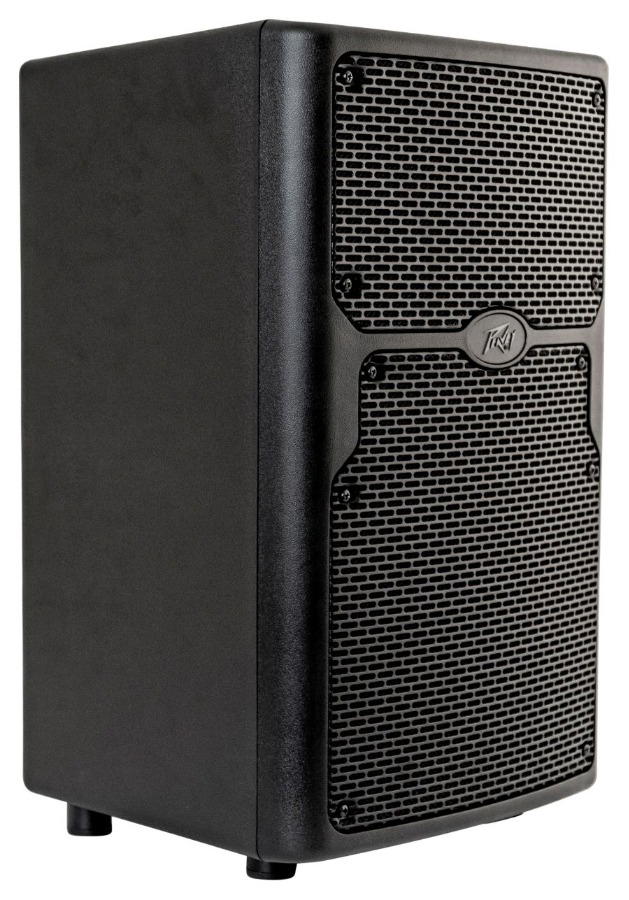 PEAVEY PVX P 10