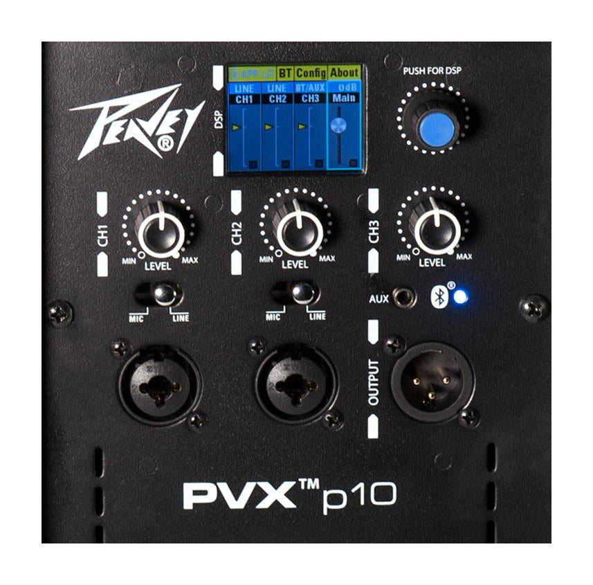 PEAVEY PVX P 10