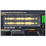 Acon Acoustica 7 Standard