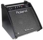 Roland PM-100