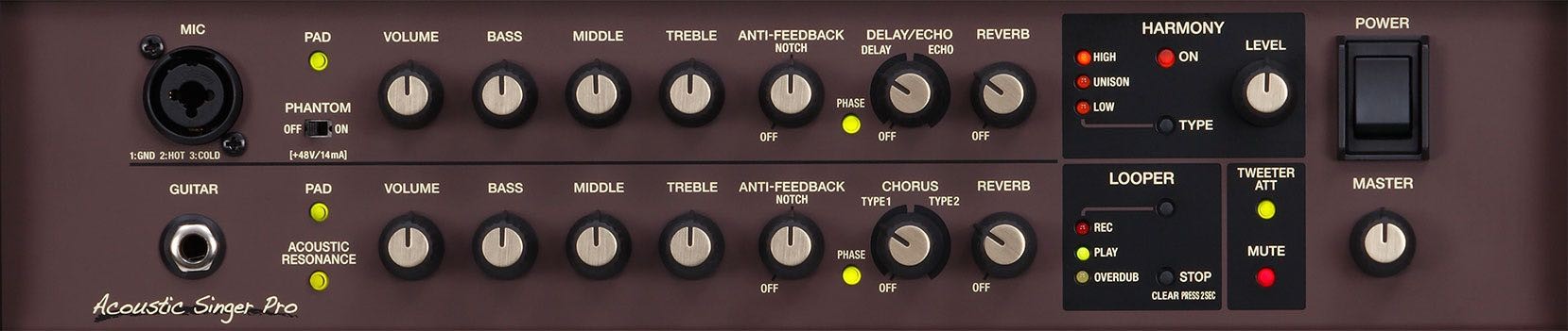 BOSS ACOUSTIC SINGER PRO