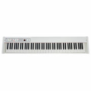 Korg D1-WH