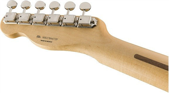 FENDER BRAD PAISLEY ROAD WORN TELECASTER