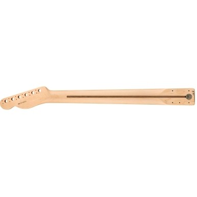 FENDER MÁSTIL TELE AMERICAN PRO 22 MP