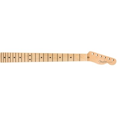 FENDER MÁSTIL TELE AMERICAN PRO 22 MP