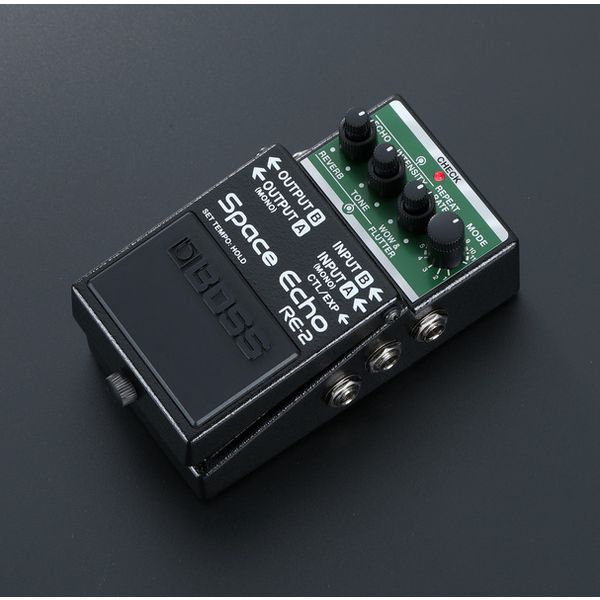 BOSS RE-2  Space Echo