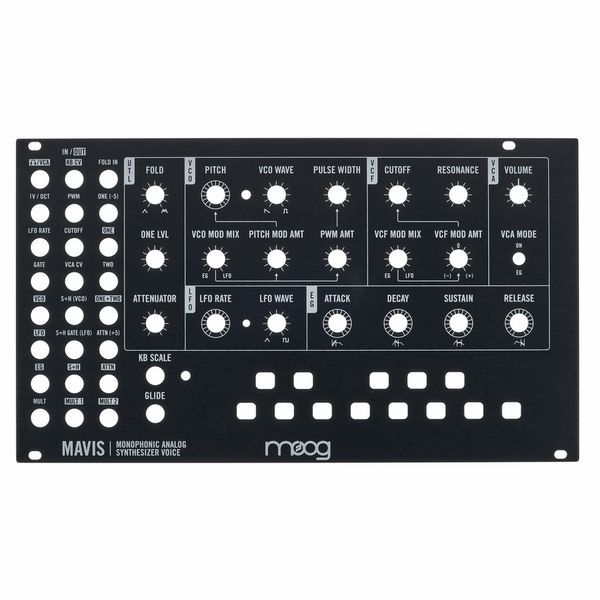 Moog Mavis