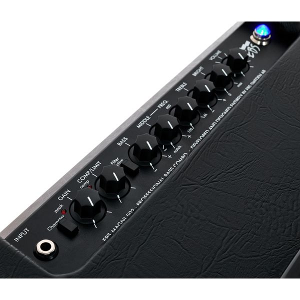 EBS AMPLIFICADOR BAJO COMBO MAGNI 502 