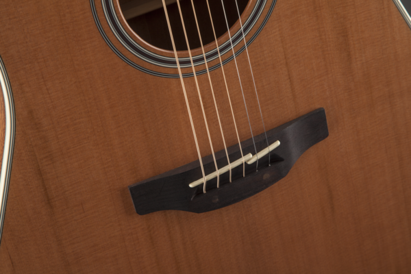 Takamine GN20CE-NS