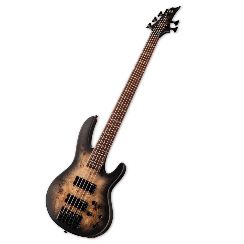 LTD D-5 - Black Natural Burst Satin