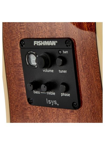TASMAN TA100 CE NAT