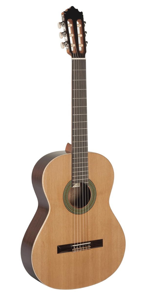 Paco Castillo Guitarra 201 Brillo