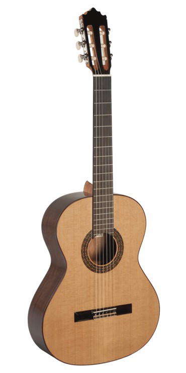 Paco Castillo Guitarra 202