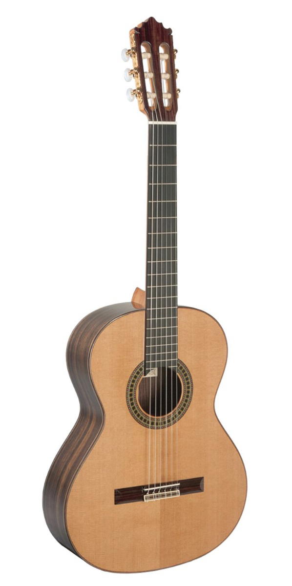 Paco Castillo Guitarra 204