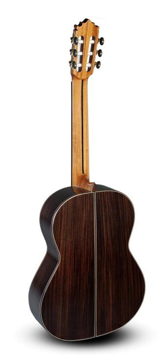 Paco Castillo Guitarra 205