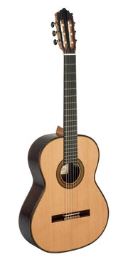 Paco Castillo Guitarra 205