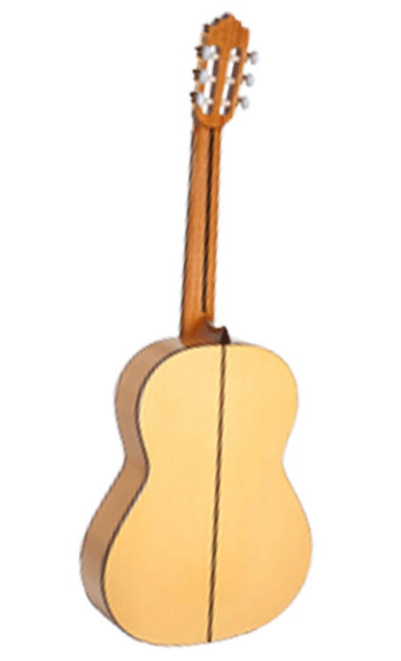 Paco Castillo Guitarra 214 F