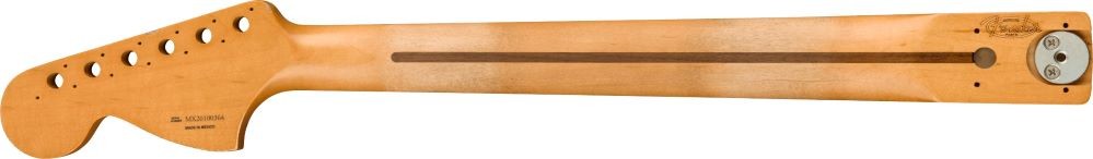 FENDER MÁSTIL TELE DLX 70 ROAD WORN 21 MP
