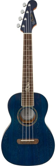 FENDER DHANI HARRISON SBT