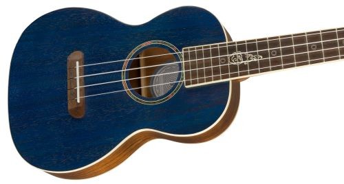 FENDER DHANI HARRISON SBT