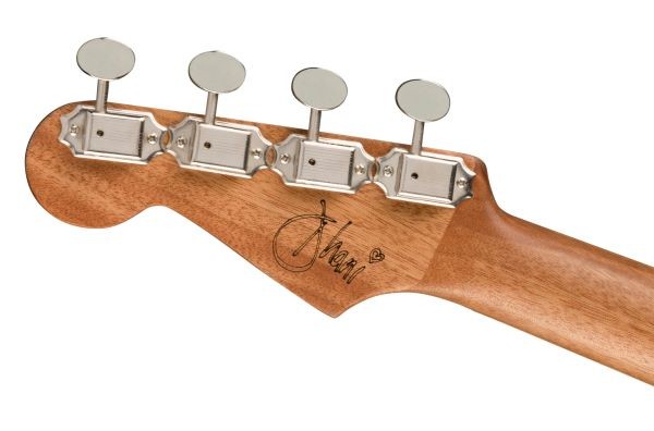 FENDER DHANI HARRISON SBT