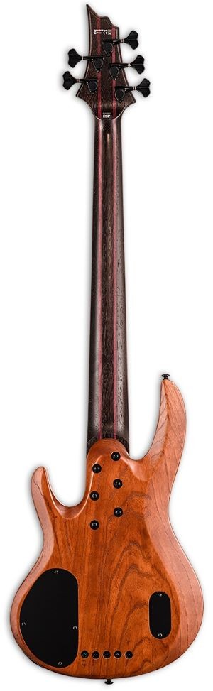 LTD B-1005 - Natural Satin - 5 cuerdas
