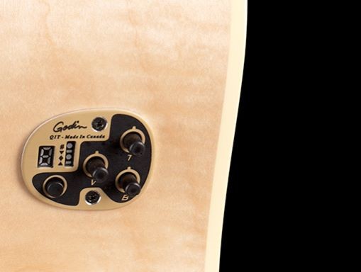 SEAGULL PERFORMER CW HG QIT
