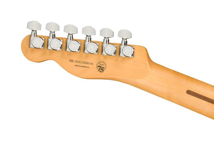 FENDER PLAYER PLUS NASHVILLE TELE BB MP