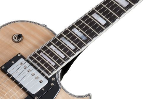 SCHECTER SOLO II CUSTOM GNAT
