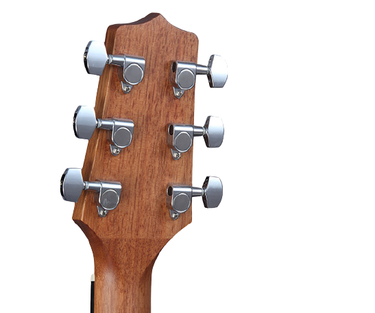 Takamine GD11MCE-NS