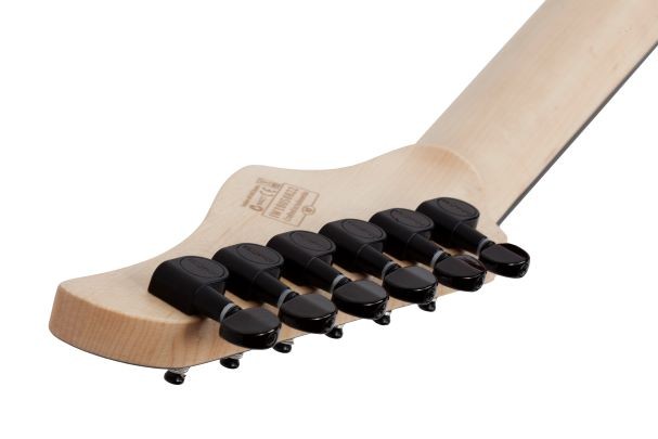 SCHECTER C-6 PRO AQB