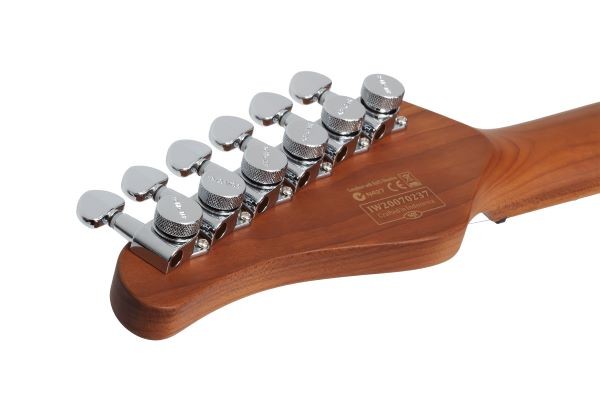 SCHECTER TRADITIONAL VAN NUYS GNAT ASH