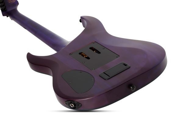SCHECTER BANSHEE GT FR TPUR