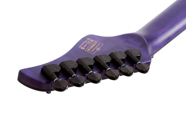 SCHECTER BANSHEE GT FR TPUR