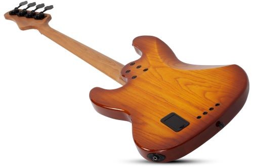SCHECTER J-4 EXOTIC FVSB